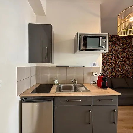 Apartament Jardin Des Plantes - Hyper Centre - Wifi - 2 Le Mans